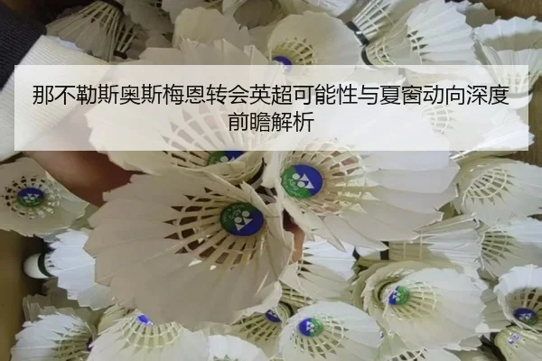 那不勒斯奥斯梅恩转会英超可能性与夏窗动向深度前瞻解析