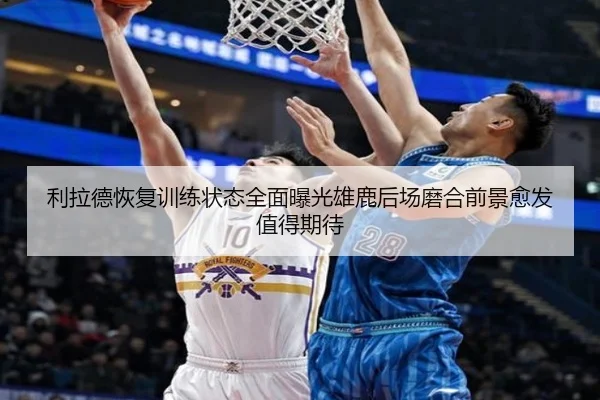 利拉德恢复训练状态全面曝光雄鹿后场磨合前景愈发值得期待